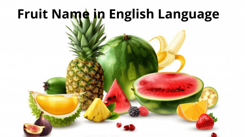 اسامی میوه ها به انگلیسی